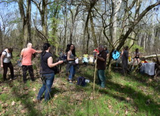 Értékeink nyomában 2. – Verses barangolás az erdőben