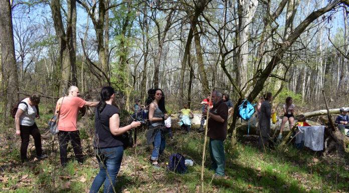 Értékeink nyomában 2. – Verses barangolás az erdőben
