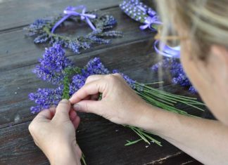 Levendula ihlette ízek, illatok, aromák – Idén is lesz levendulaünnep a mórahalmi Aradi Tanya és Élménybirtokon