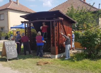 Közös munkával felújították a zsombói buszmegállókat