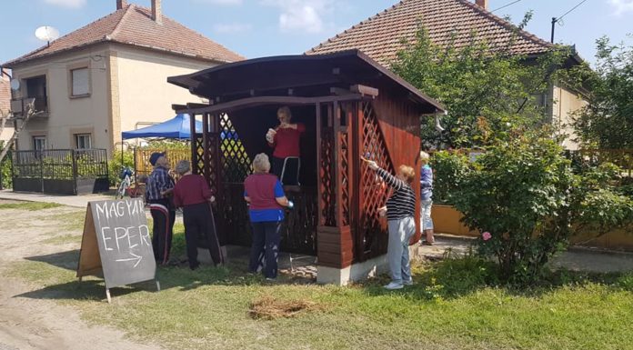 Közös munkával felújították a zsombói buszmegállókat