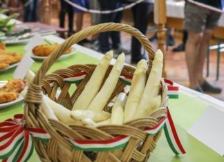 Idén is gazdag programokat kínál az öttömösi spárgafesztivál
