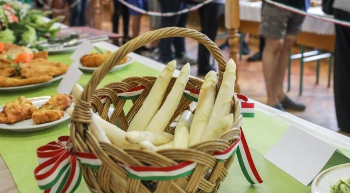 Idén is gazdag programokat kínál az öttömösi spárgafesztivál