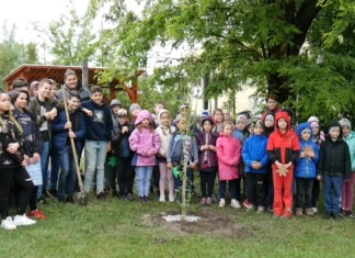 Facsemetét ültettek a zsombói végzős diákok elsős társaik számára