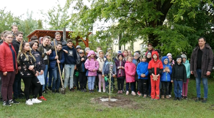 Facsemetét ültettek a zsombói végzős diákok elsős társaik számára