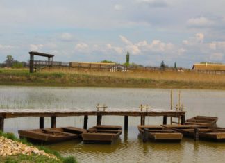 Két helyszínen is táboroztatnak Mórahalmon – Szinte egész nyárra telt ház van