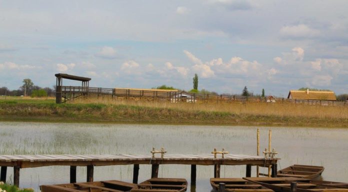 Két helyszínen is táboroztatnak Mórahalmon – Szinte egész nyárra telt ház van