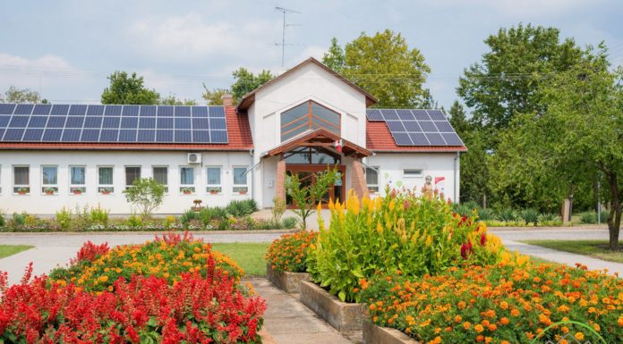 Ismét színesebb lett Ruzsa – A lakosoknak is jut a virágokból