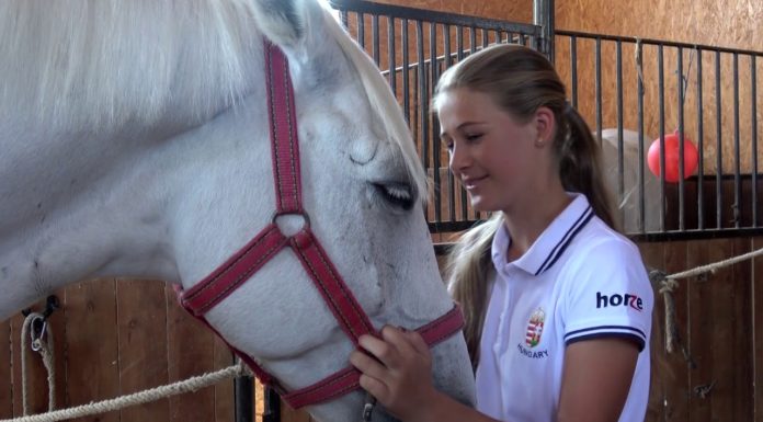 Miniszteri kitüntetésben részesült Kis Lizanna, mórahalmi díjugrató