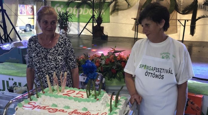 Oreós spárgás sütemény is akadt az öttömösi fesztiválon