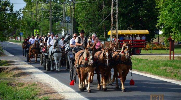 Domaszéki Falunapok – Itt az idei program és egy kis ízelítő a tavalyi hangulatból! – VIDEO
