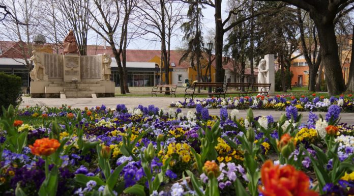 Virágos Magyarország verseny – Mórahalomra is szavazhatnak!