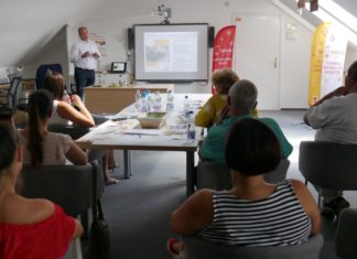 Ingyenes képzési lehetőségek vállalkozóknak és munkavállalóknak Mórahalmon