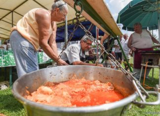 Igazi alföldi hangulat vár mindenkit a XXIX. Röszkei Falunapokon