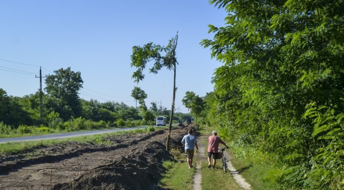 Elkezdődtek a Sándorfalvától Ópusztaszerig tartó, 17 kilométeres kerékpárút kivitelezési munkálatai