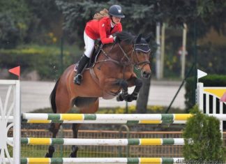 Versenyek és szabadidős programok a mórahalmi Futó-Dobó Lovasközpontban