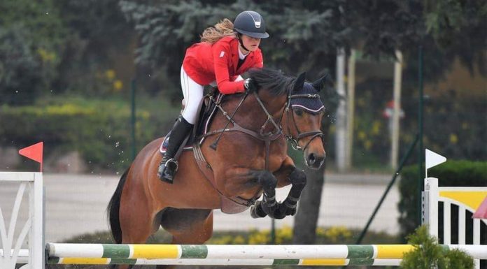 Versenyek és szabadidős programok a mórahalmi Futó-Dobó Lovasközpontban