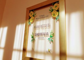 Díjat nyert Sándorfalva a Virágos Magyarország versenyben