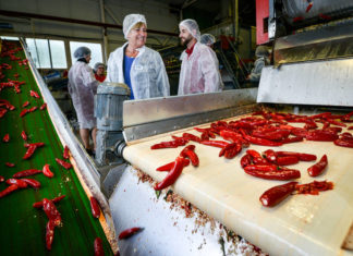 Álláskeresők jártak a röszkei paprikamalomban