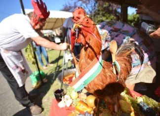 Gasztronómia és szórakozás hajnalig – 24. Szüreti Fesztivál és Kakaspörkölt-főző verseny Pusztamérgesen