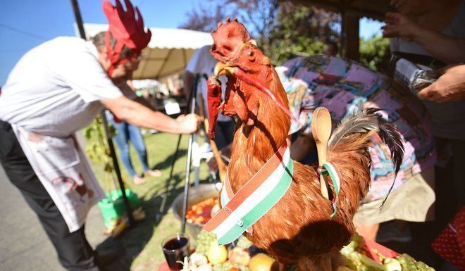 Gasztronómia és szórakozás hajnalig – 24. Szüreti Fesztivál és Kakaspörkölt-főző verseny Pusztamérgesen