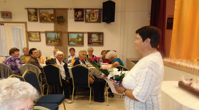 Hazatérek címmel nyílt festménykiállítás Ásotthalmon