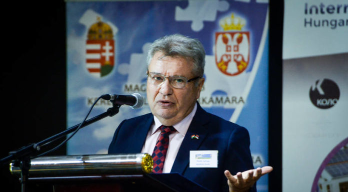Tízéves fennállását ünnepelte Mórahalmon a Magyar-Szerb Iparkamara – A Kolo Központ a híd szerepét tölti be a határtérségben