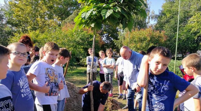 A könyvtár fáját ültették el a zákányszéki gyerekek