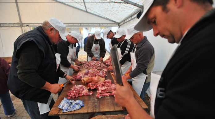Már Zákányszék és Domaszék is készül a böllérnapra – VIDEÓ