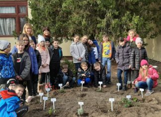 Örökös ökoiskola lett a sándorfalvi Pallavicini Sándor Általános Iskola
