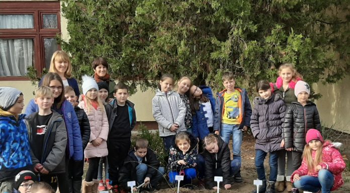 Örökös ökoiskola lett a sándorfalvi Pallavicini Sándor Általános Iskola