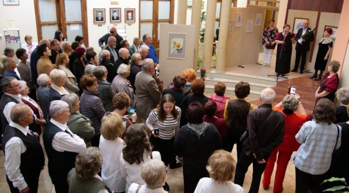 Józsvainé Kislőrincz Edit festménykiállítása nyílt meg Mórahalmon