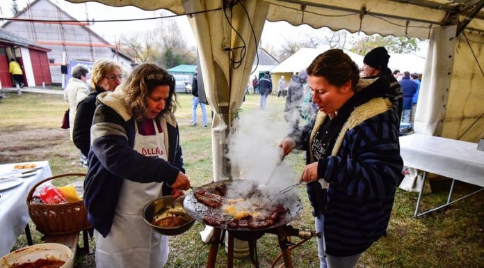 Böllérnap lesz Domaszéken – Zákányszéken már megkezdődött a disznóvágási szezon (VIDEÓ)