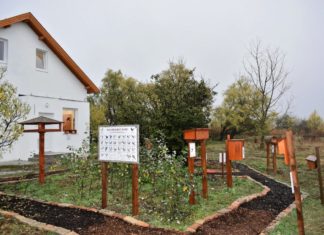 Megnyílt a Szalakóta Látogatóközpont Szatymaz és Sándorfalva határán