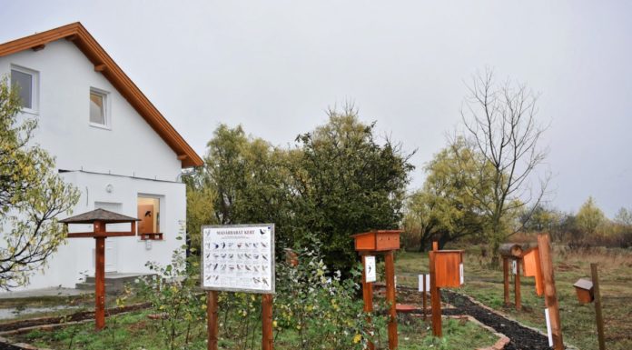 Megnyílt a Szalakóta Látogatóközpont Szatymaz és Sándorfalva határán