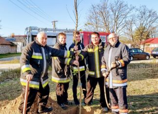 Számos facsemetével gazdagodott Sándorfalva