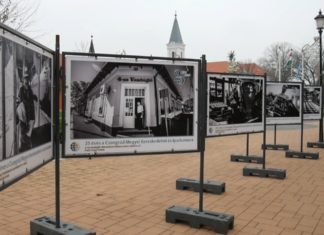25 éves a Csongrád Megyei Kereskedelmi és Iparkamara – Mórahalmi vállalkozást is megörökített az ünnep alkalmából létrehozott kiállítás