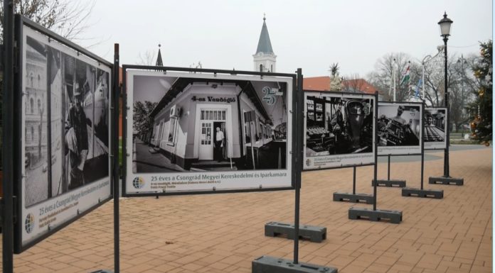 25 éves a Csongrád Megyei Kereskedelmi és Iparkamara – Mórahalmi vállalkozást is megörökített az ünnep alkalmából létrehozott kiállítás