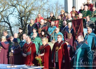 Kiválónak ígérkezik az idei szőlőtermés