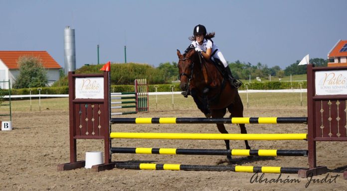 Díjugrató verseny a hétvégén a mórahalmi Futó- Dobó Lovasközpontban