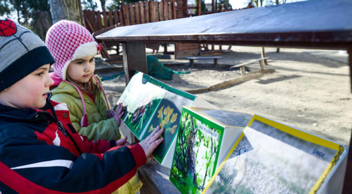 Örökös Zöld Óvoda lett a röszkei
