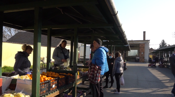 Vedd és védd a helyit! – A Csongrád Megyei Önkormányzat felhívása (videó)