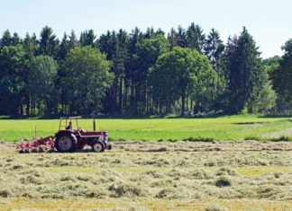 Nem akadályozza a mezőgazdasági munkákat a kijárási korlátozás