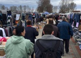 Május 17-én megnyitja kapuit a Mórahalmi Országos Állat -és Kirakodóvásár