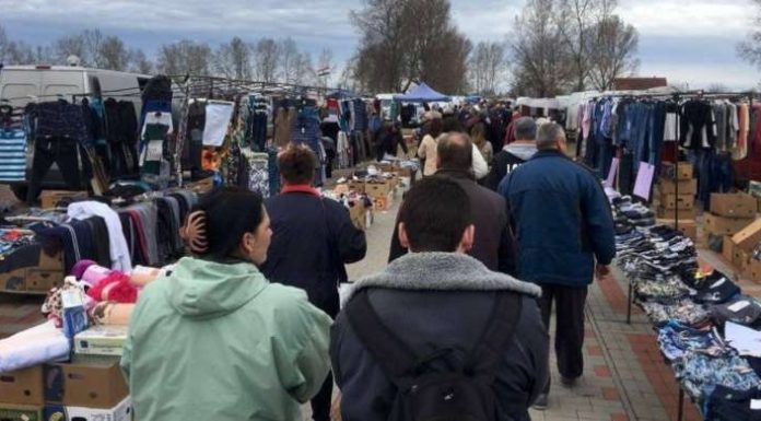 Május 17-én megnyitja kapuit a Mórahalmi Országos Állat -és Kirakodóvásár