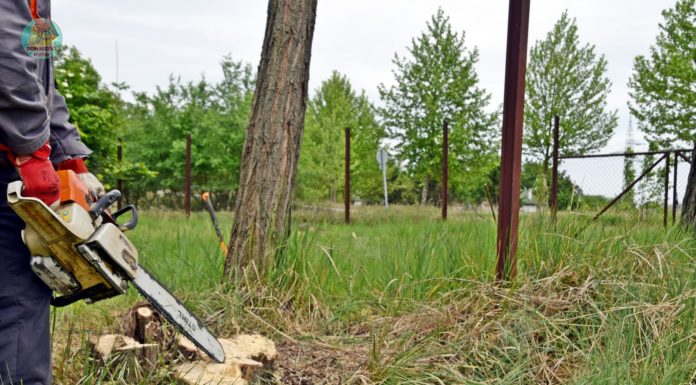 Készül az ideiglenes hulladékátvevő Domaszéken