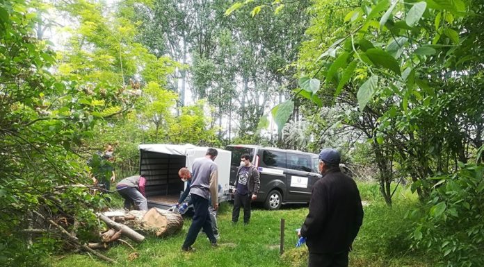 Tűzifa adományt osztott a Homokháti Szociális Központ