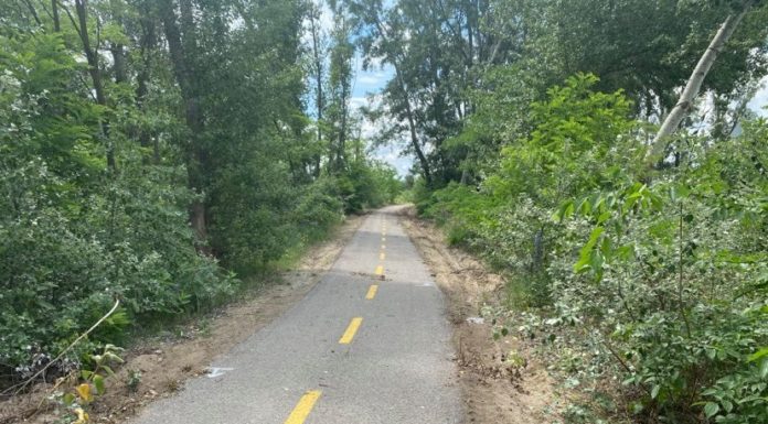 Javítják a Mórahalom-Zákányszék közötti kerékpárút úthibáit