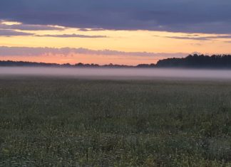 Virradt-e már rád az erdőben? – Folytatódik az Értékeink nyomában című programsorozat