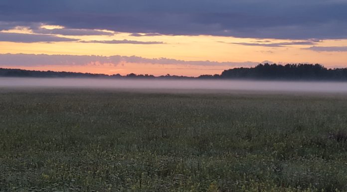 Virradt-e már rád az erdőben? – Folytatódik az Értékeink nyomában című programsorozat